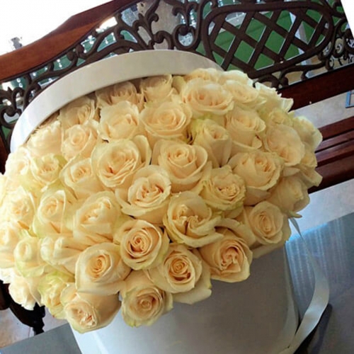 101 роза в коробке "Кремовая сказка"